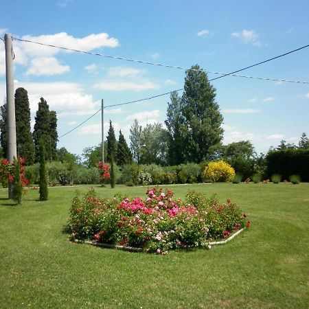 Villa Jolanda Fratte Rosa Bagian luar foto